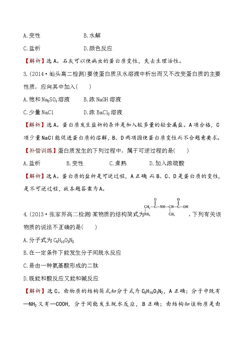 高二化学1.3生命的基础--蛋白质课件及练习题含答案详解第2页