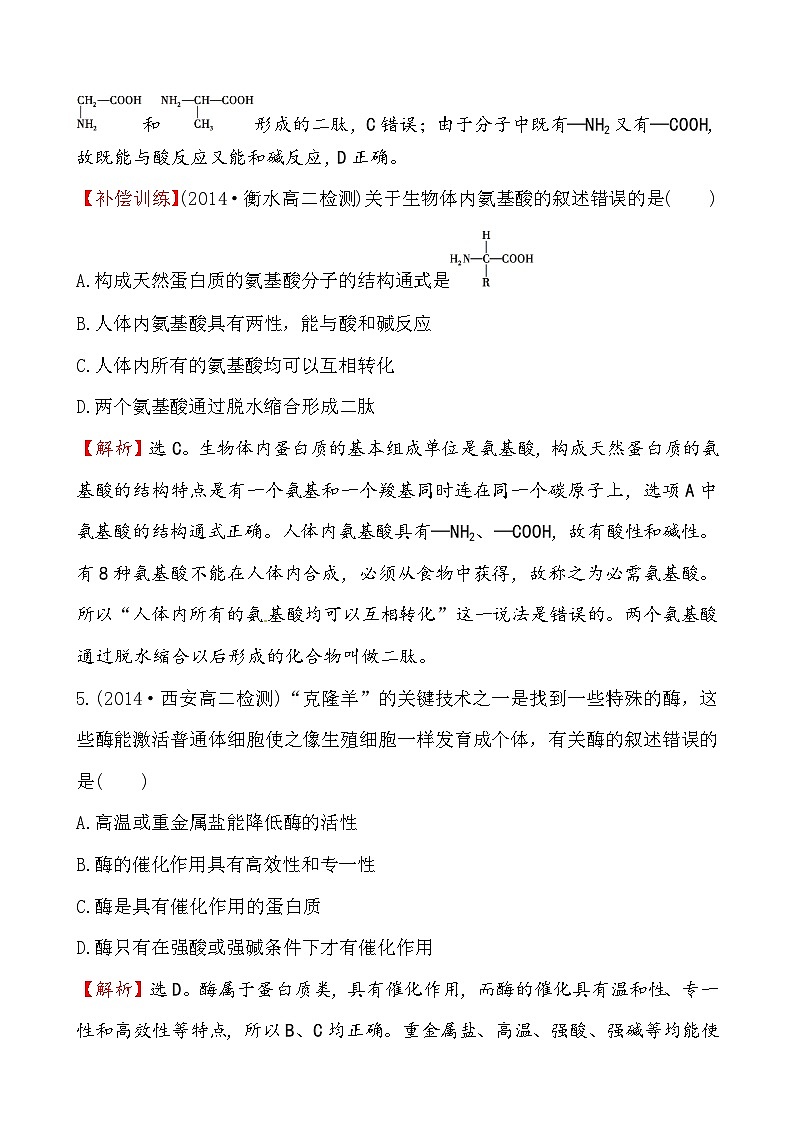高二化学1.3生命的基础--蛋白质课件及练习题含答案详解第3页