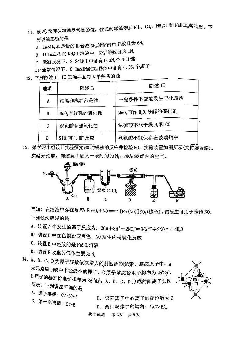 2024惠州高三上学期第二次调研考试化学试题PDF版含答案第3页