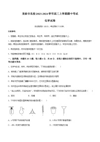 福建省龙岩市名校2023-2024学年高三上学期期中考试化学试题（含答案）