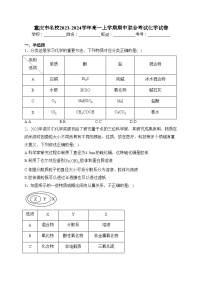 重庆市名校2023-2024学年高一上学期期中联合考试化学试卷(含答案)