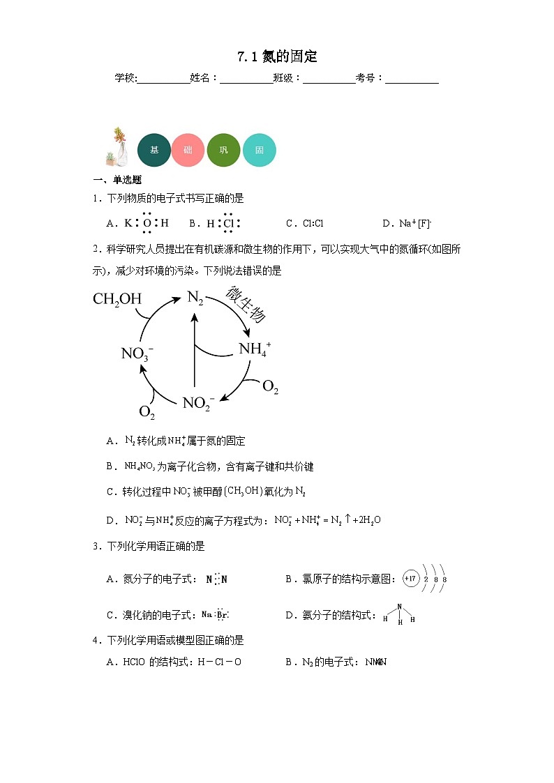 7.1氮的固定分层练习-2023-2024学年苏教版（2019）高中化学必修第二册01