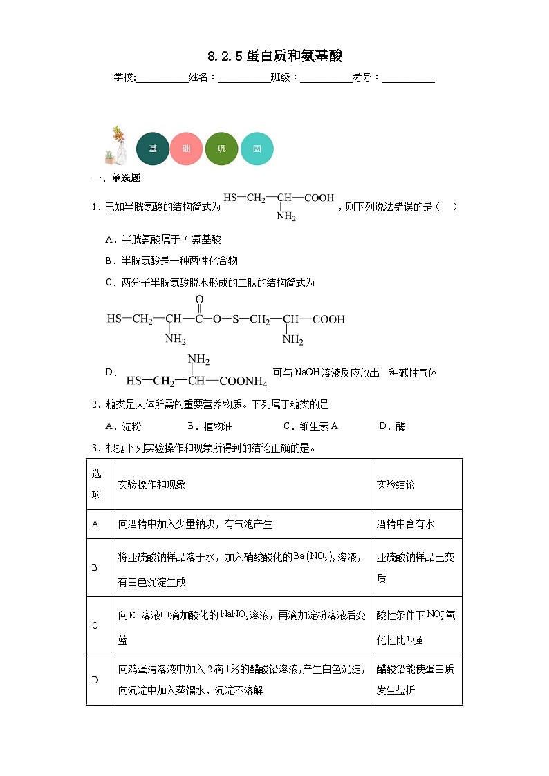 8.2.5蛋白质和氨基酸分层练习-2023-2024学年苏教版（2019）高中化学必修第二册01