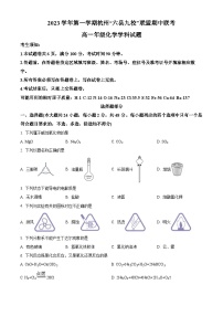 浙江省杭州市六县九校联盟2023-2024学年高一上学期期中联考化学试题+（解析版）