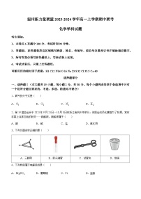 浙江省温州新力量联盟2023-2024学年高一上学期期中联考化学试题（含答案）