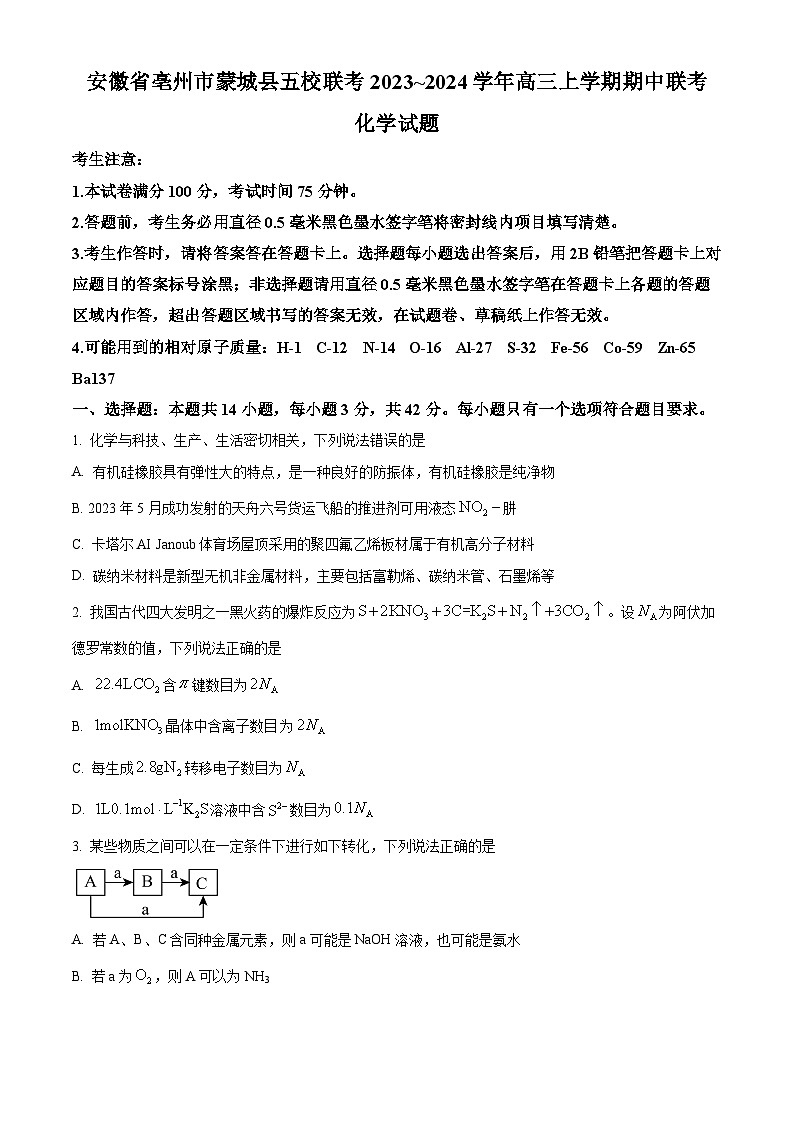 2024亳州蒙城县五校高三上学期11月期中联考化学试题含解析01