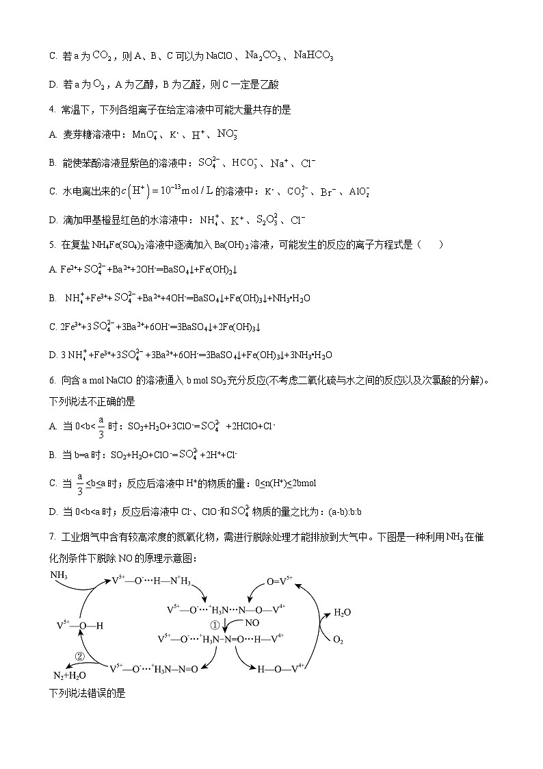 2024亳州蒙城县五校高三上学期11月期中联考化学试题含解析02