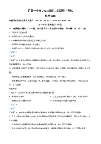 四川省泸州市泸县第一中学2023-2024学年高二上学期期中化学试题（Word版附解析）