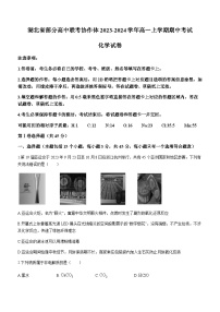 湖北省部分高中联考协作体2023-2024学年高一上学期期中考试化学试题（含答案）