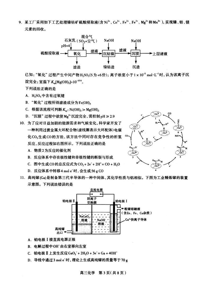 2024石家庄普通高中高三上学期教学质量摸底检测化学PDF版含答案03