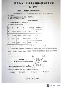 广西钦州市浦北县2023-2024学年高一上学期期中考试化学试题