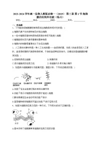 化学必修 第一册第一节 铁及其化合物复习练习题