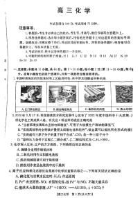 2024届广东省部分学校高三上学期11月大联考化学试题