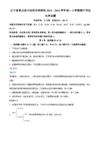 辽宁省沈阳市郊联体重点高中2023-2024学年高一上学期期中考试化学试题（解析版）