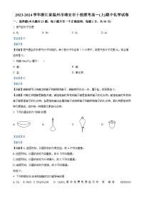 浙江省温州市2023-2024学年瑞安市十校联考高一上学期化学期中试卷（解析版）