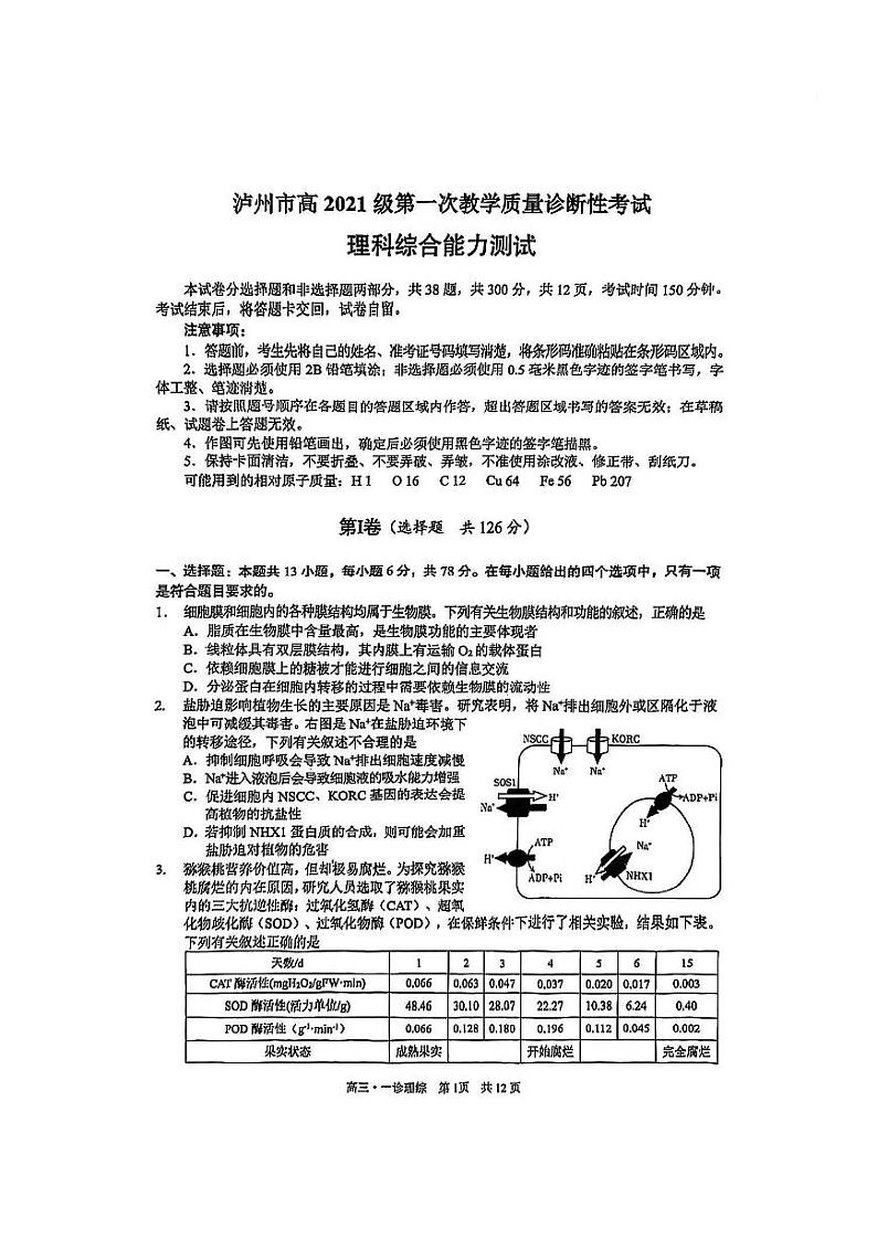 2024泸州高三上学期第一次教学质量诊断性考试理综PDF版含答案（缺化学答案）01