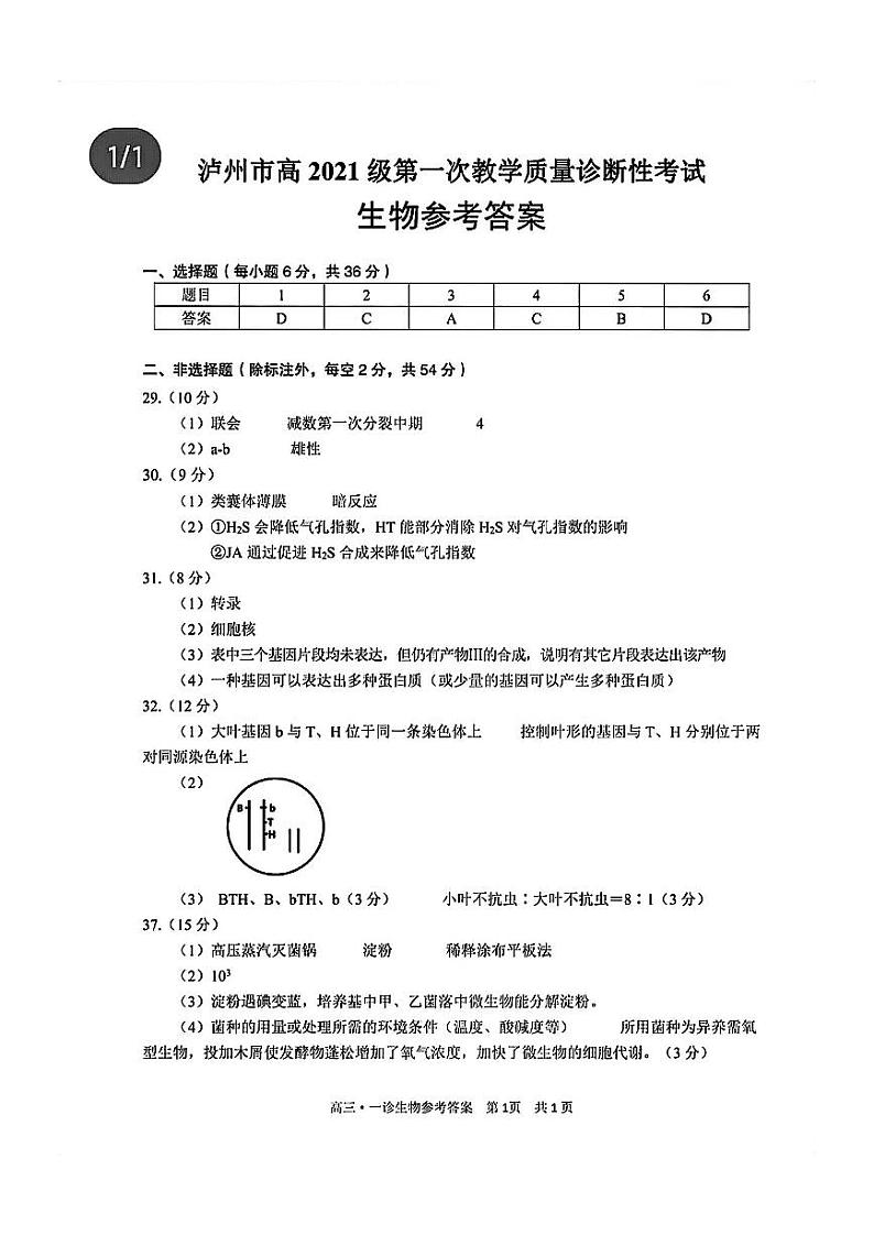 2024泸州高三上学期第一次教学质量诊断性考试理综PDF版含答案（缺化学答案）01