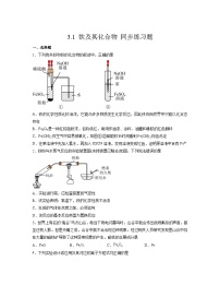 高中化学人教版 (2019)必修 第一册第一节 铁及其化合物课时作业