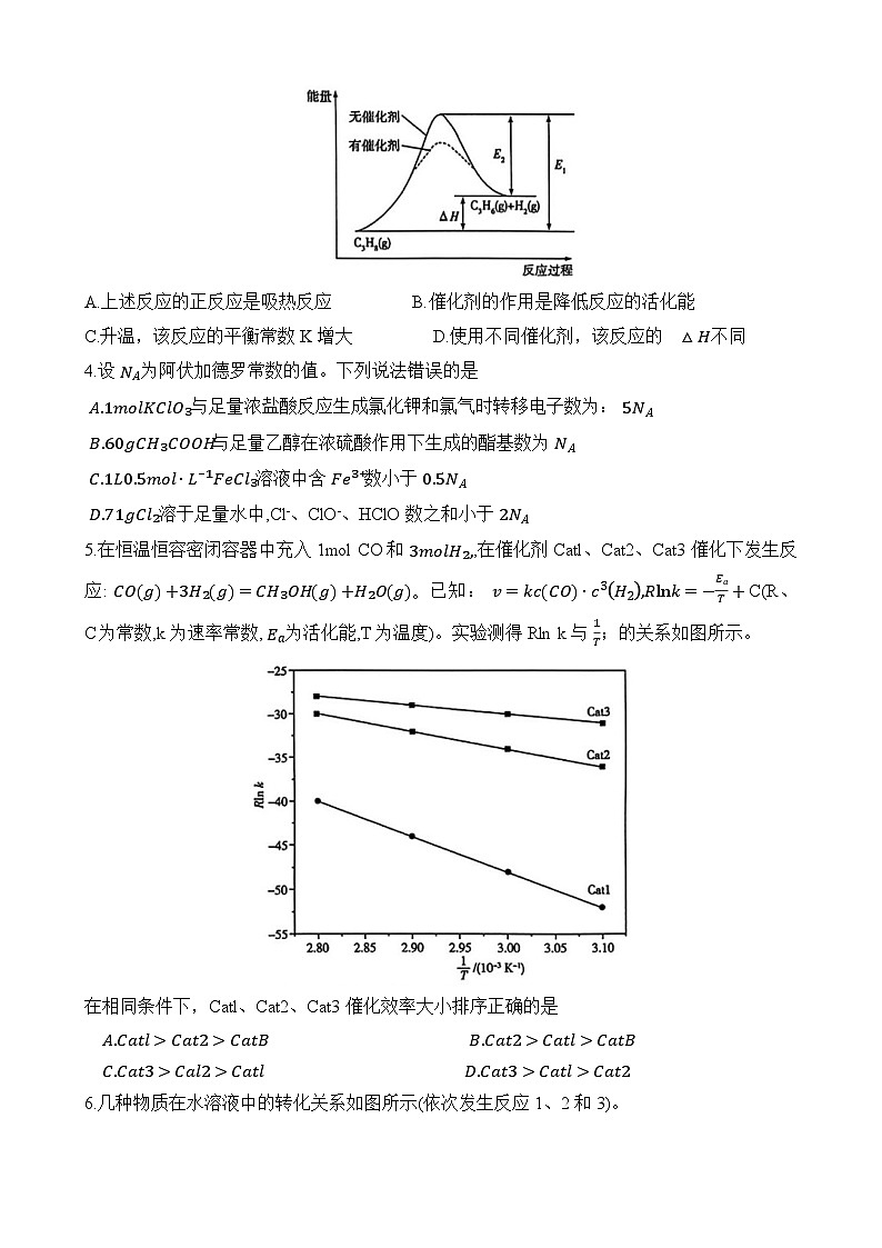 河南省天一大联考2024届高三上学期11月阶段性测试（三）化学含解析02