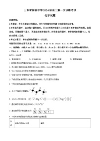 山东省实验中学2024届高三上学期10月第一次诊断考试化学含精品解析