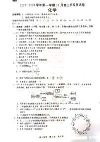 河北省新时代NT教育2024届高三上学期11月阶段测试卷化学含解析