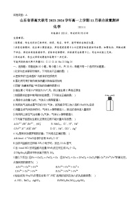 山东省普高大联考2023-2024学年高一上学期11月联合质量测评化学试题（含答案）