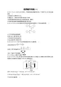 2024版高考总复习-化学二轮专题(新教材) 选择题专项练