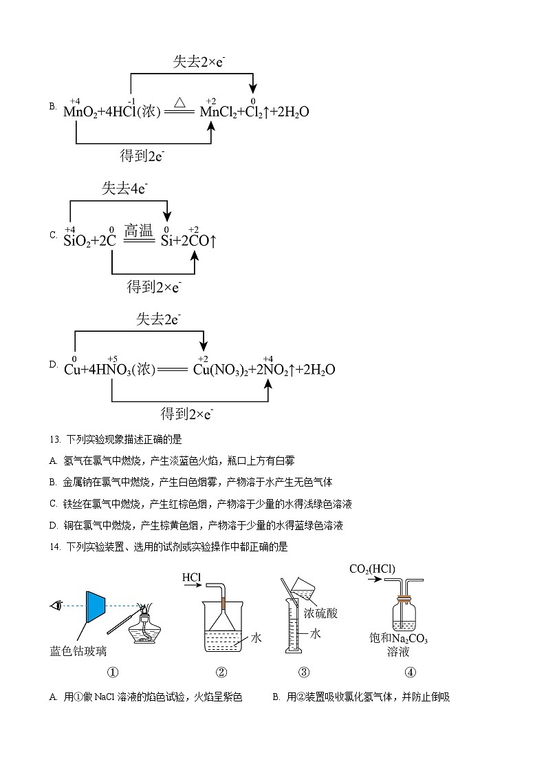 2024回族自治区银川西夏区育才中学高一上学期11月期中化学试题含解析03