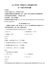 浙江省嘉兴市八校联盟2023-2024学年高一上学期期中联考化学试题（Word版附解析）