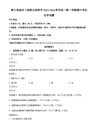 浙江省温州市瑞安十校联考2023-2024学年高一上学期期中化学试题（Word版附解析）