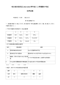 黑龙江省哈尔滨市道里区2023-2024学年高二上学期期中考试化学试题（含答案）