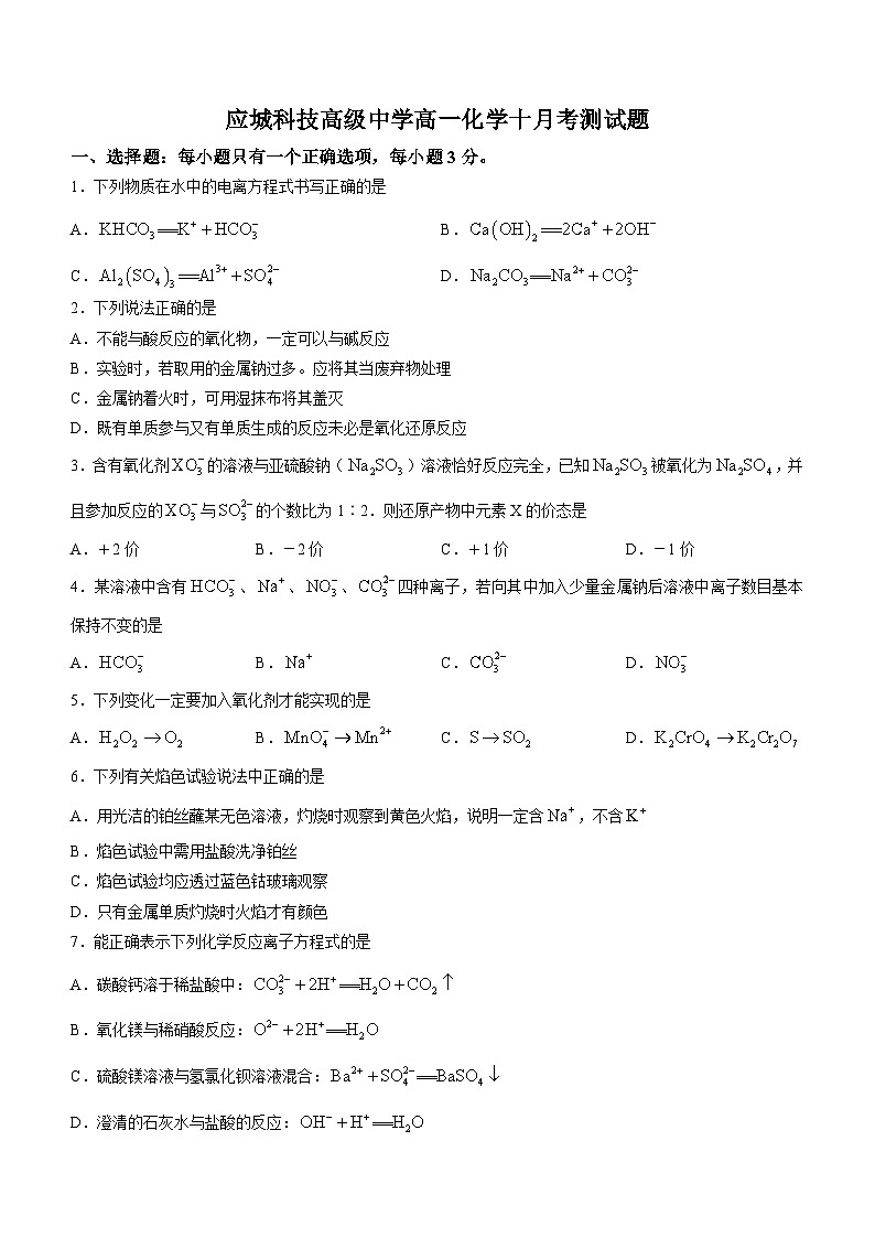 湖北省应城市科技高级中学2023-2024学年高一上学期10月月考化学试题01