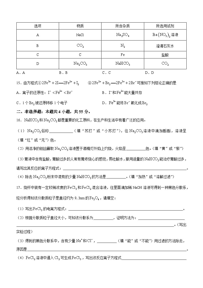 湖北省应城市科技高级中学2023-2024学年高一上学期10月月考化学试题03