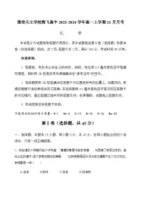 四川省雅安天立学校腾飞高中2023-2024学年高一上学期11月月考化学试题（含答案）