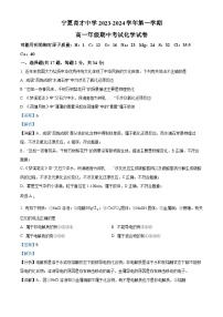 宁夏回族自治区银川市西夏区宁夏育才中学2023-2024学年高一上学期11月期中化学试题（Word版附解析）