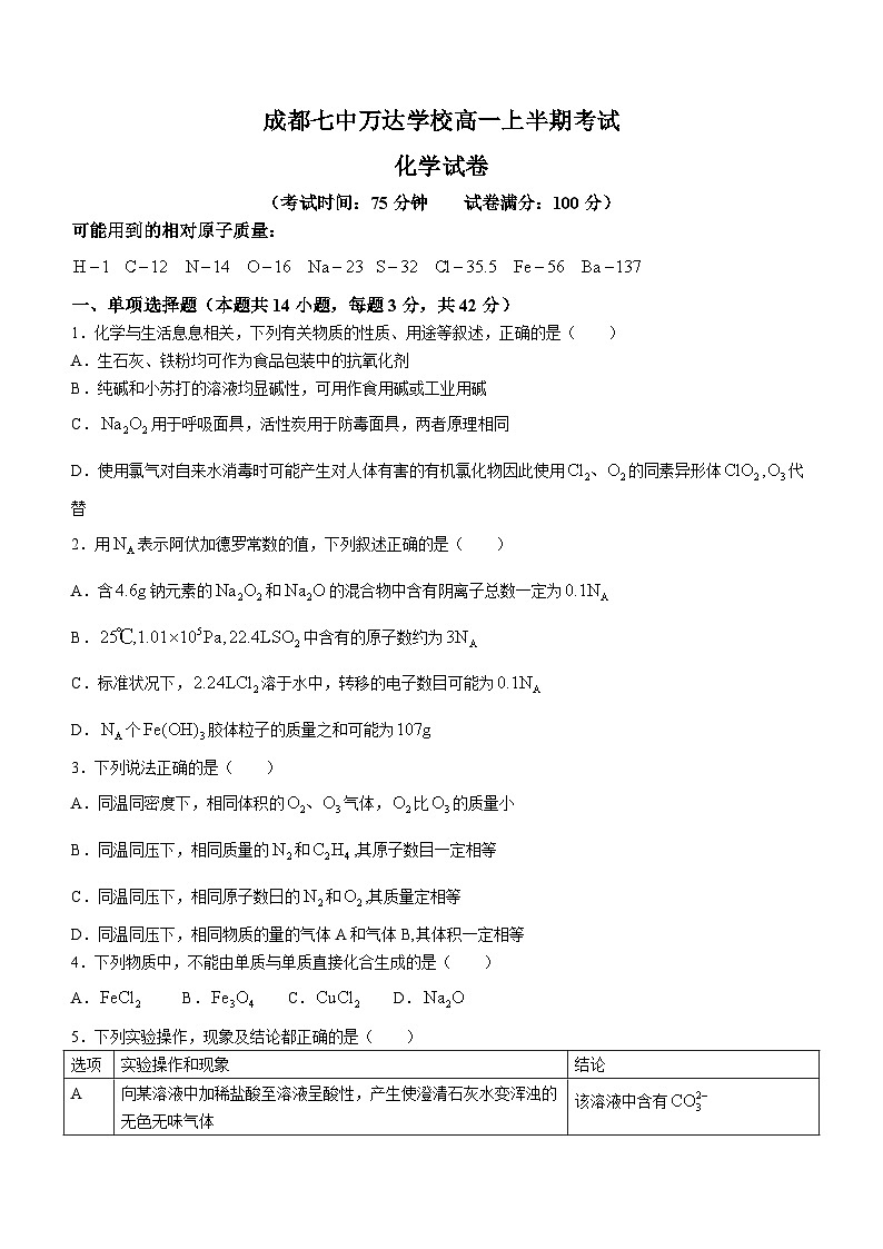 四川省成都七中万达学校2023-2024学年高一上学期11月期中考试化学试题01