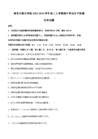 山东省青岛市部分学校2023-2024学年高三上学期期中学业水平检测化学试题（含答案）