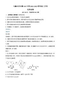 2023维吾尔自治区乌鲁木齐第101中学高三上学期11月月考化学试题含解析