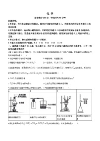 2024河南省新高中创新联盟TOP二十名校计划高三上学期11月调研考试化学无答案