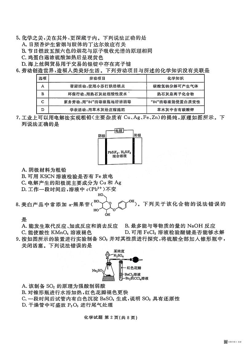 广东省江门市2024届高三上学期11月大联考化学试题02