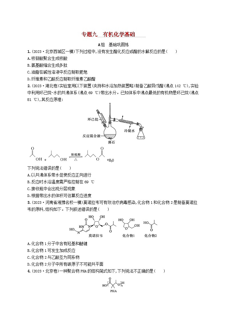 适用于新高考新教材2024版高考化学二轮复习专题9有机化学基础（附解析）01