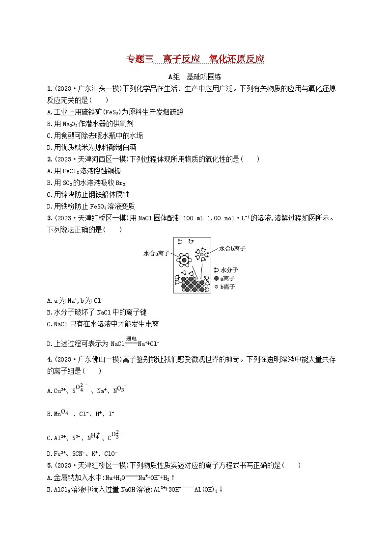 适用于新高考新教材2024版高考化学二轮复习专题3离子反应氧化还原反应（附解析）第1页