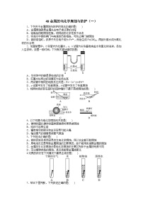 2022年高三化学寒假自我小测：49金属的电化学腐蚀与防护（一） Word版含解析