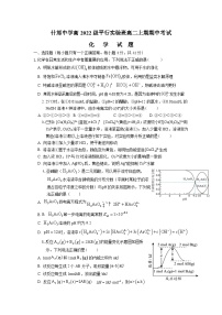 2024四川省什邡中学高二上学期11月期中考试（平实班）化学含答案