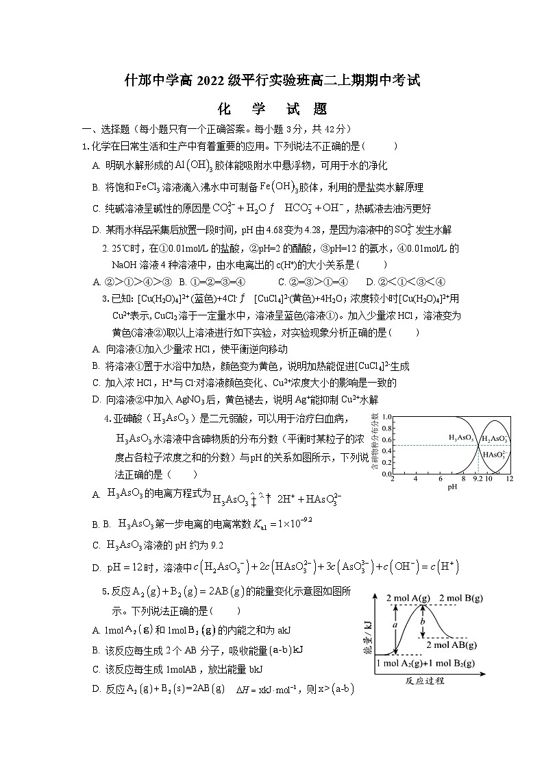 2024四川省什邡中学高二上学期11月期中考试（平实班）化学含答案01