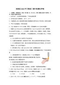 湖南省株洲市炎陵县第一中学 炎陵县湘山高级中学2023-2024学年高二上学期12月期中联考化学试题