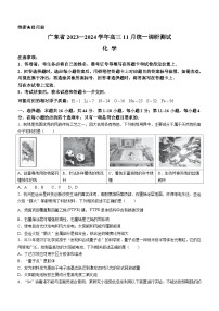 2024广东省高三上学期11月统一调研测试化学含解析