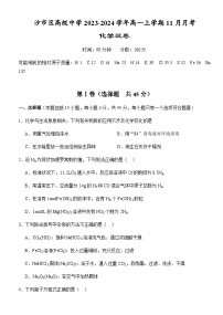 湖北省荆州市沙市区高级中学2023-2024学年高一上学期11月月考化学试题（含答案）