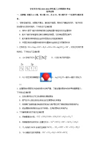 江西省吉安市吉州区2023-2024学年高三上学期期中考试化学试题（含答案）