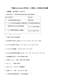 山西省晋中市平遥县2023-2024学年高三上学期11月质检化学试题（含答案）